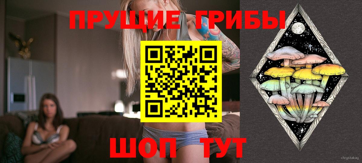 Галлюциногенные грибы прущие грибы  Вход с VPN  Сыктывкар 